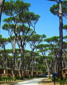 Park Albatros, il piano al centro di un esposto 