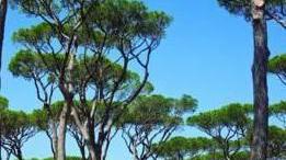 Park Albatros, il piano al centro di un esposto