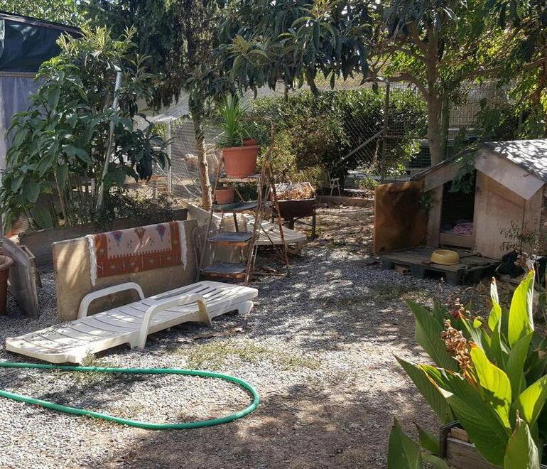 Raid al gattile, colletta per le telecamere 