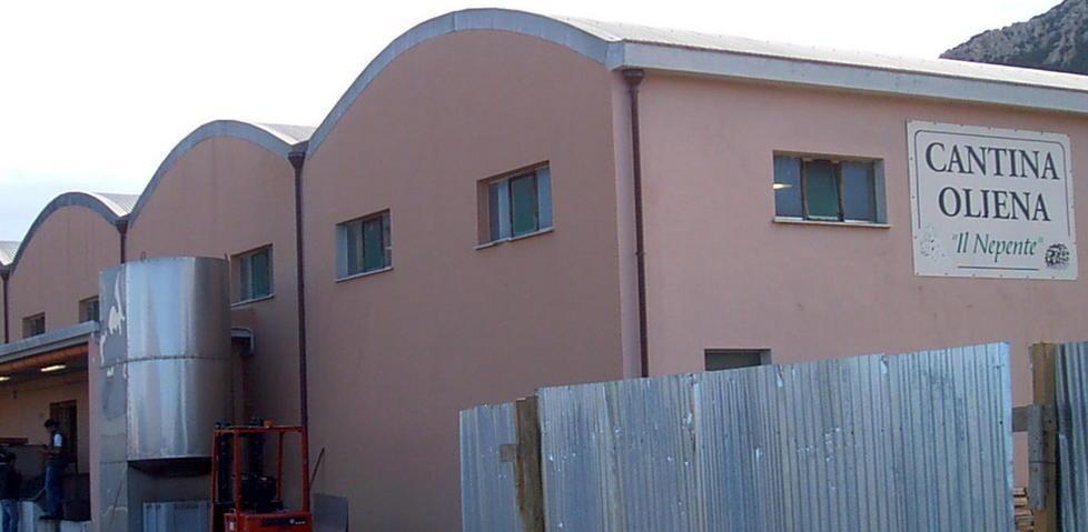 Oliena, grande attesa per la vendemmia «Un’ottima annata» 