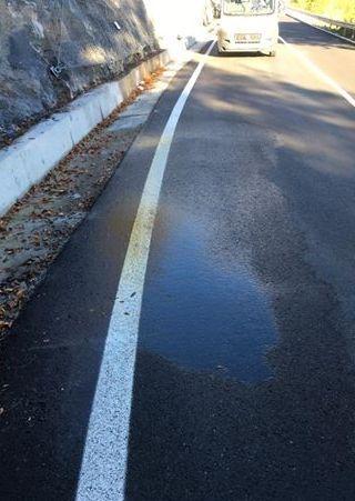 Una polla d’acqua sulla statale «Occorre un intervento»