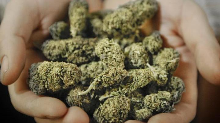 Reggio Emilia: spaccio di marijuana, arrestato un 18enne