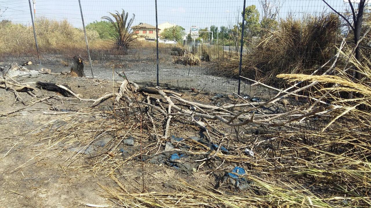 I campi bruciati lungo l'Aurelia sud a Grosseto