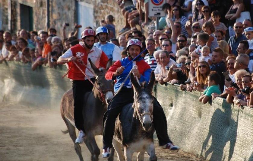Campagnatico show: c’è il Palio dei ciuchi 