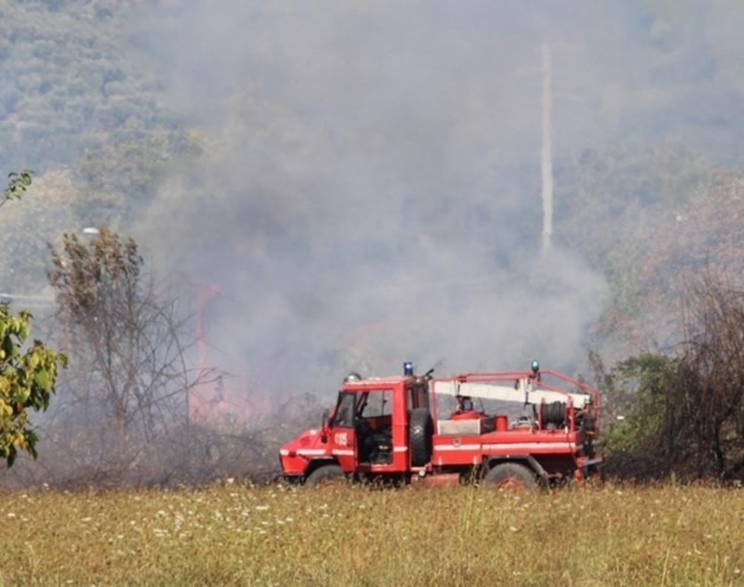 Arbusti a fuoco tra Lido e Capezzano