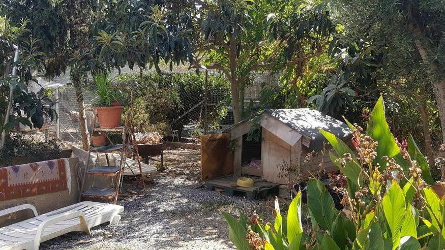Sfilata pacifica contro il raid nel gattile