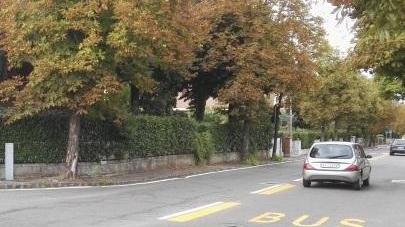 Via Legnago a senso unico, la furia degli automobilisti