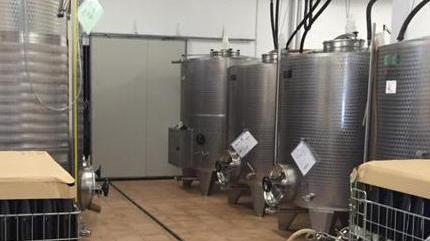 Una vendemmia coi fiocchi «Meglio del 2015»