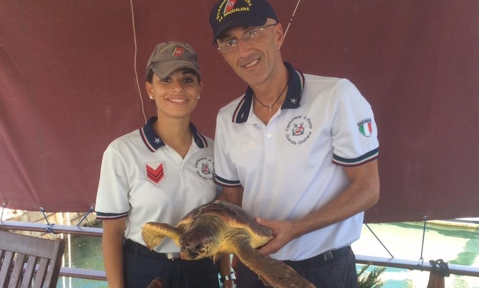 Una tartaruga soccorsa a Capo Testa