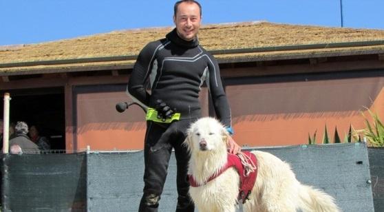 Bagnante si sente male in acqua, a salvarla ci pensano i cani bagnino 