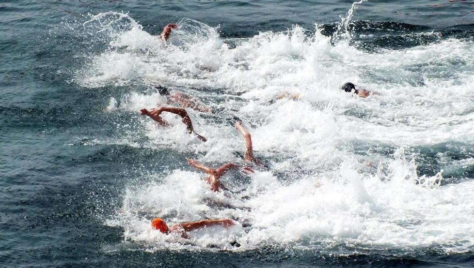 Piombino capitale del nuoto Undici medaglie per gli azzurrini 
