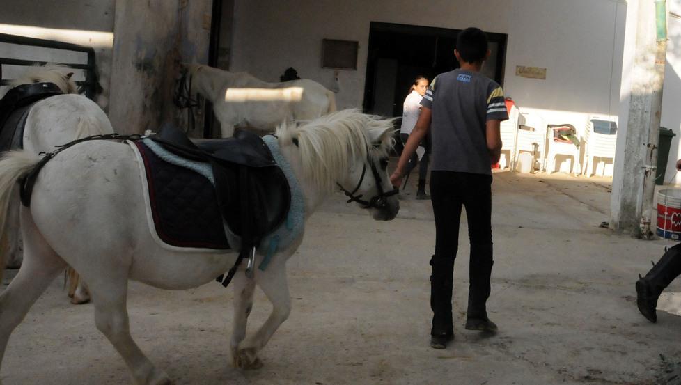 Al Centro ippico nuorese l’ippoterapia è una risorsa 