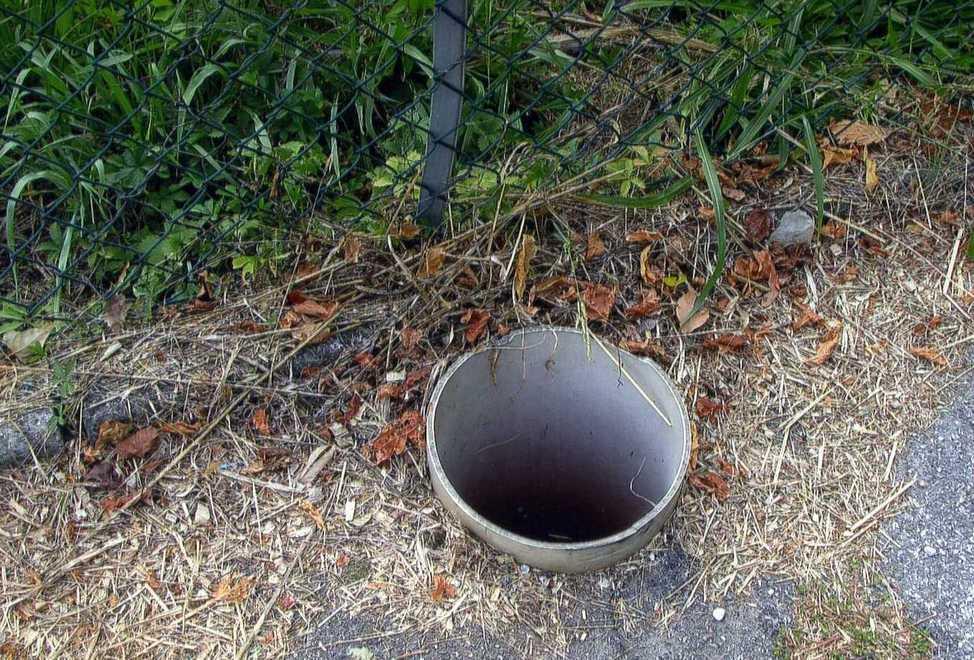 «Cassonetti strapieni È così tutti i weekend» 