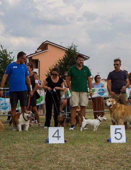 Limite sull’Arno