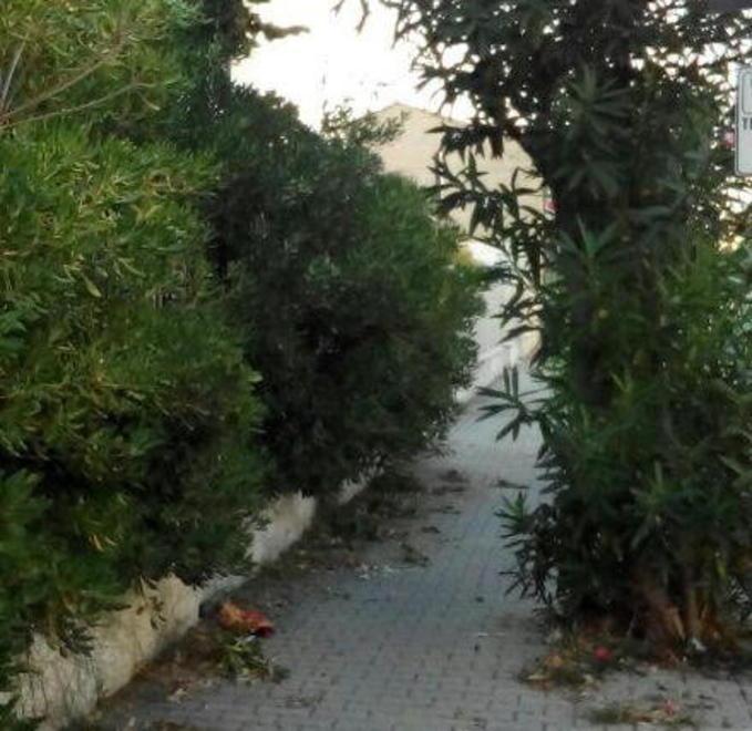 La siepe ostruisce il passaggio sul marciapiede