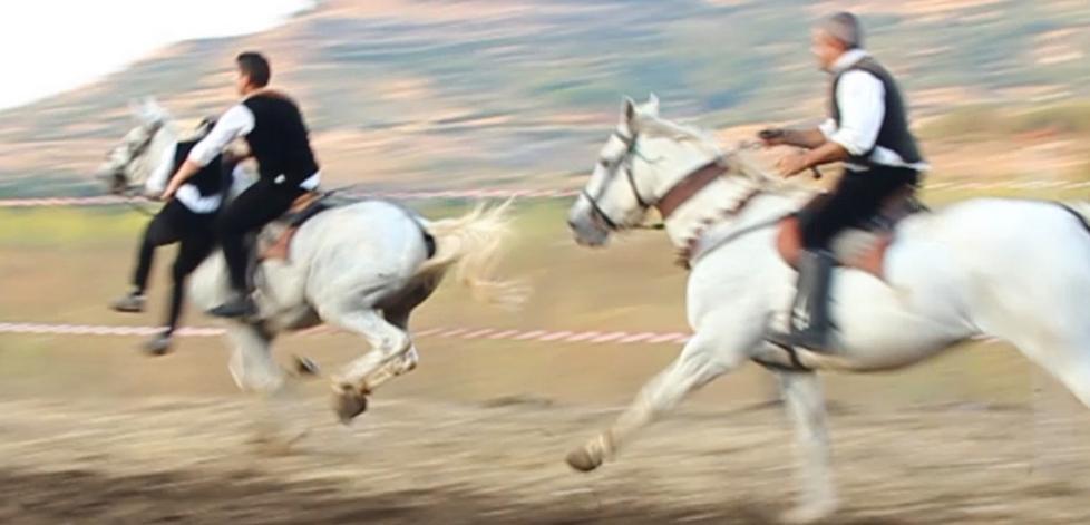 Brividi e acrobazie nello spettacolo delle pariglie