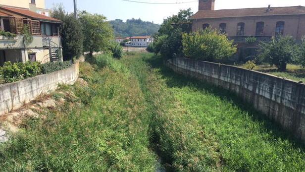 L’Egola abbandonato e invaso dalla vegetazione 