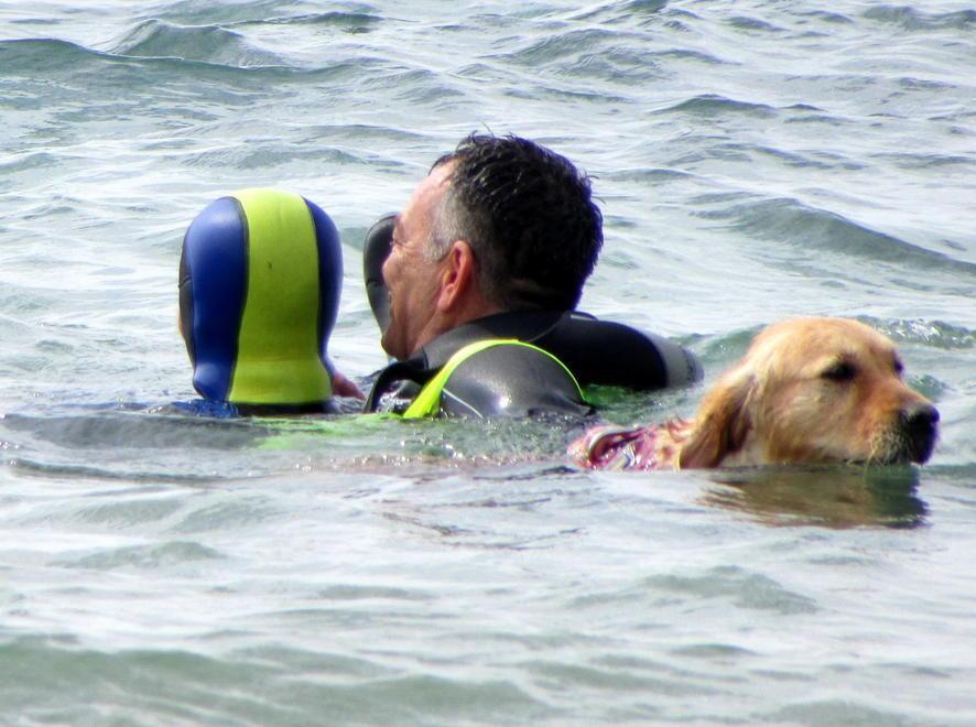 «Bagnino e cane mi hanno salvata, grazie» 