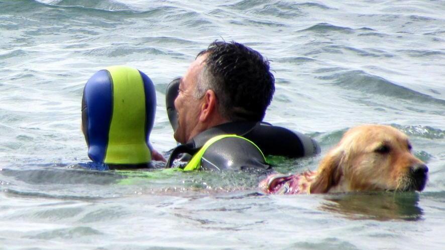 «Bagnino e cane mi hanno salvata, grazie»