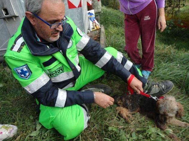 Uno sportello per i diritti degli animali 