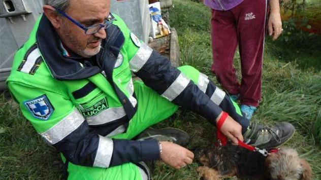 Uno sportello per i diritti degli animali
