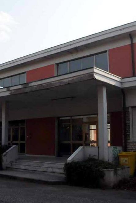 Assalita dai calabroni cade e si frattura le gambe