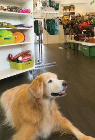 Apre in città il primo petstore Conad della Sardegna