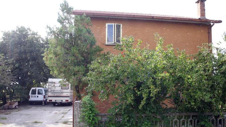 Sventa il furto, i ladri uccidono la cagnolina a colpi di bastone