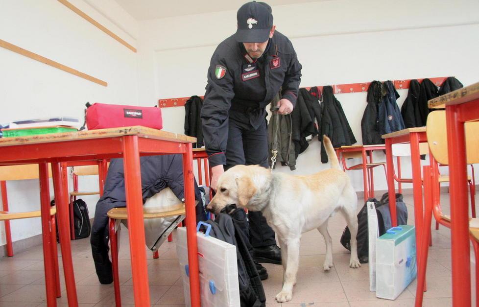 Droga ai teenager, controlli nelle scuole 