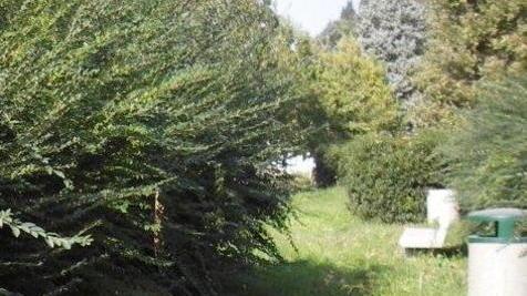 Riqualificazione delle aree verdi C’è un piano d’azione