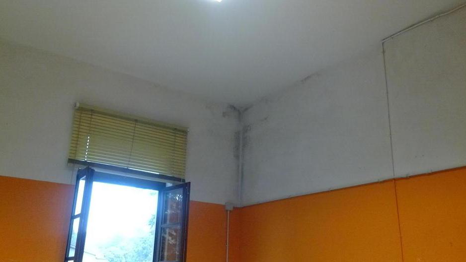 Muffa sui muri, genitori in rivolta