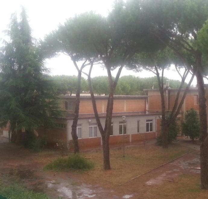 Crolla un ramo nel parco 
