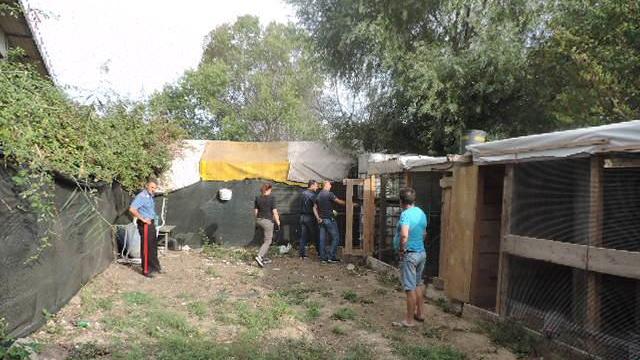 Animali rinchiusi in baracche abusive a Pian di Rota, denunciato