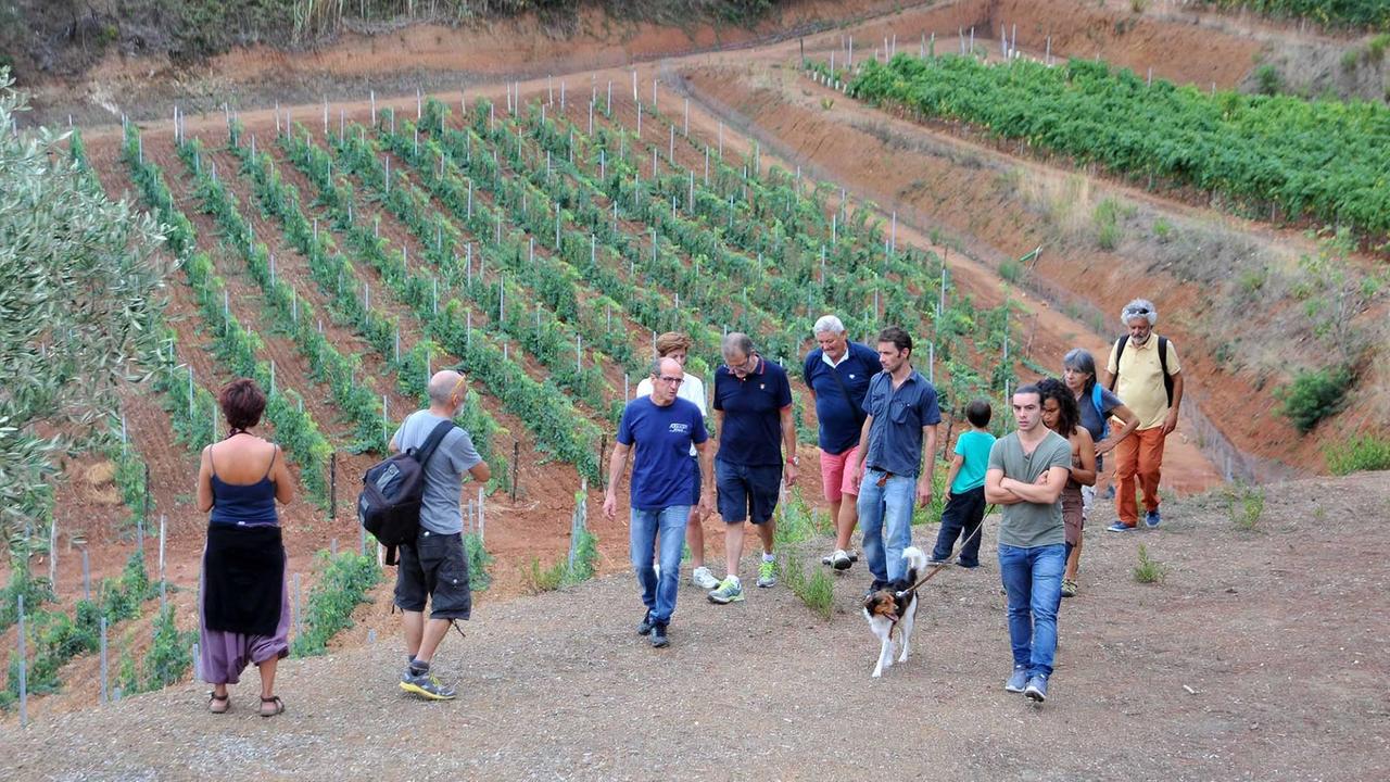 Il trekking wine a Porto Azzurro (foto Gio' Di Stefano)