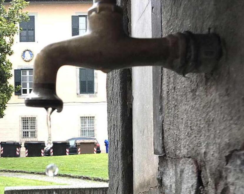 Dai topi tra i rifiuti al rubinetto che perde fino ai pini pericolosi