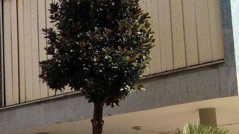 Cartelle manomesse, attacco dei 5 Stelle