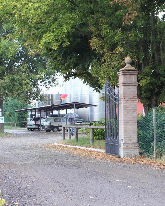 Cade dal camion ed è ricoverato 