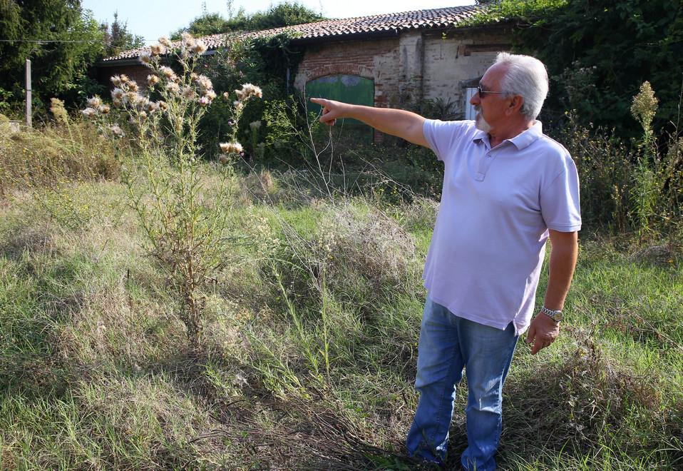 Vipere, topi e scarafaggi dal casolare dimenticato 