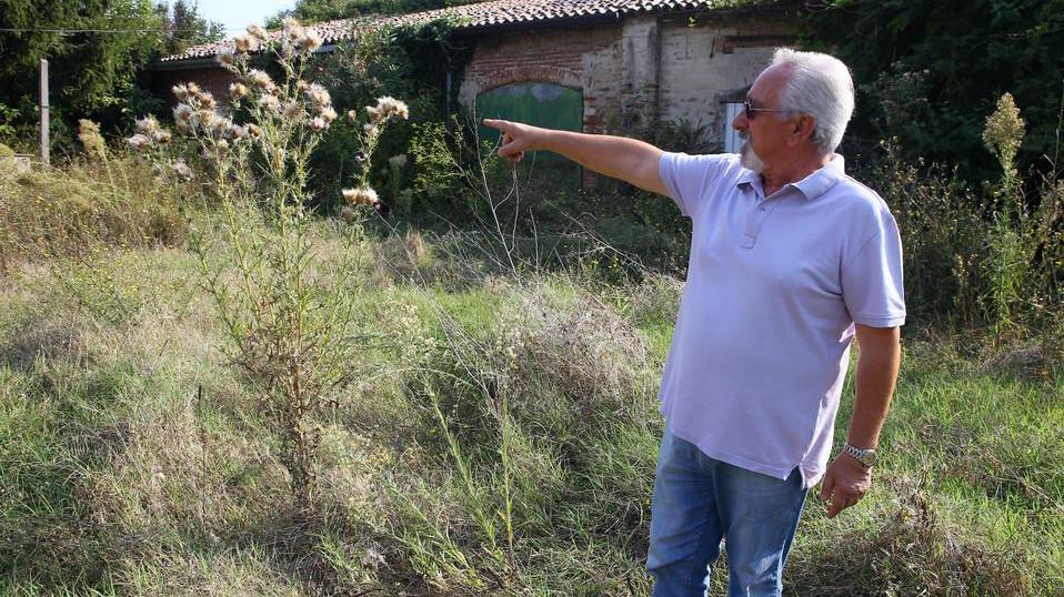 Vipere, topi e scarafaggi dal casolare dimenticato