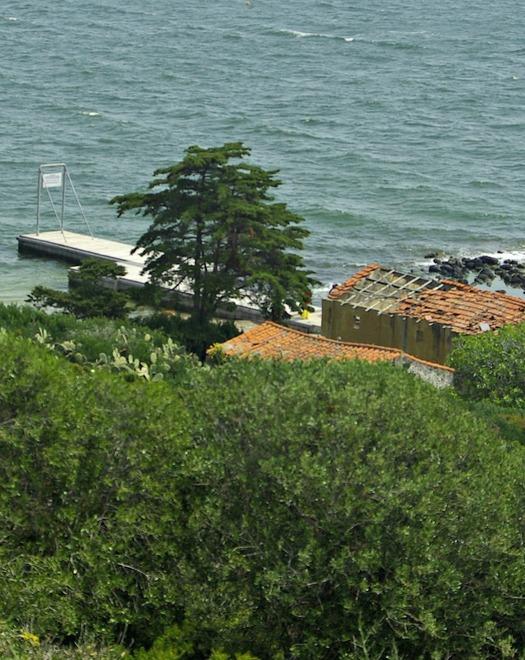 Aiuta il disabile a fare il bagno: multato 