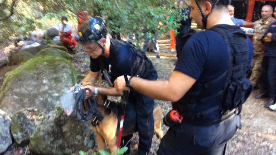 Giove, il cane molecolare dei carabinieri