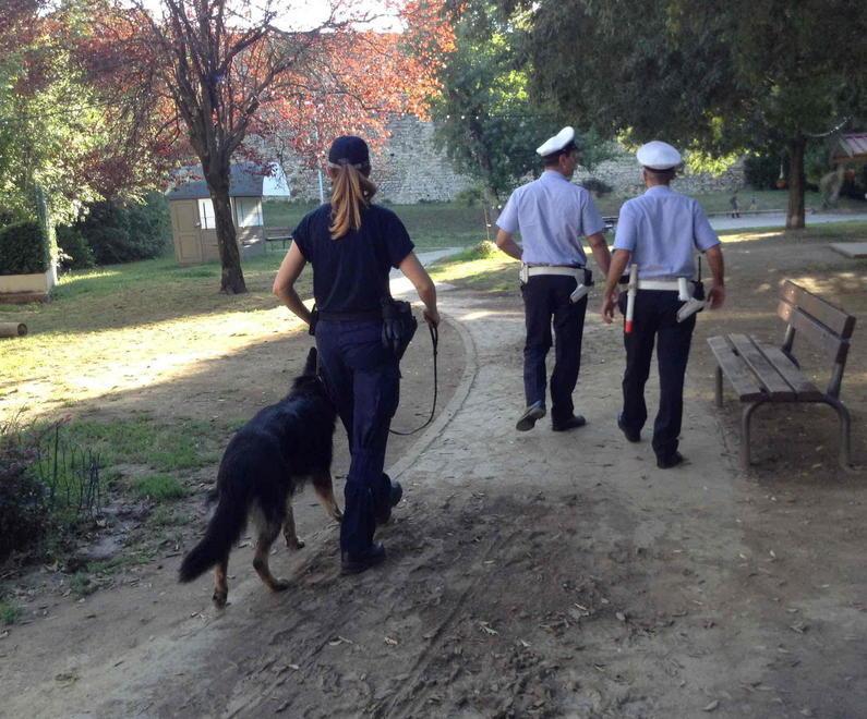 Residenti esasperati: «Pitbull sempre liberi dentro i giardini» 