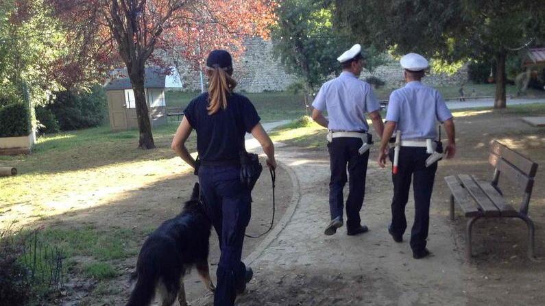 Residenti esasperati: «Pitbull sempre liberi dentro i giardini»