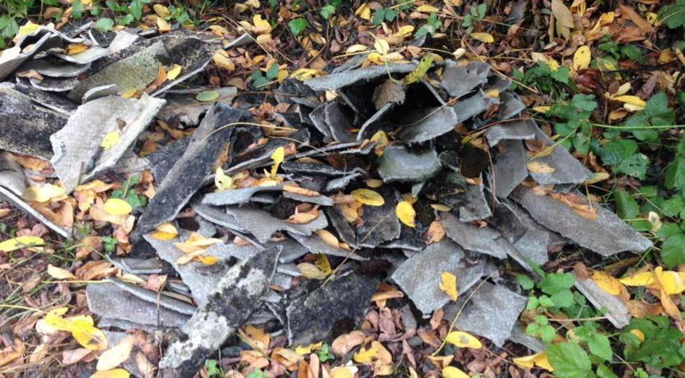 Tra il verde, amianto e rifiuti 