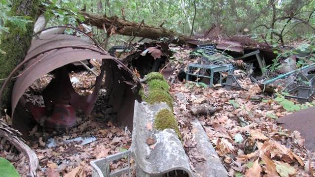 I rifiuti nel Parco della Magia