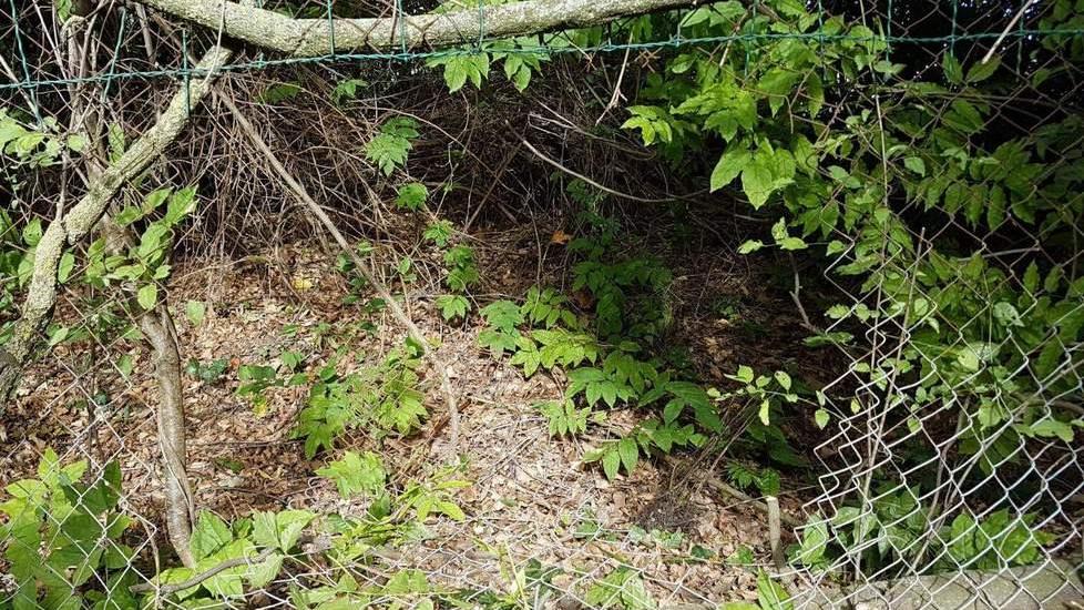 Assaltano una villa per tre notti: incubo per una famiglia