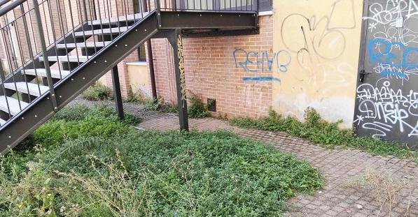 Genitore denuncia «Erba alta e incuria»