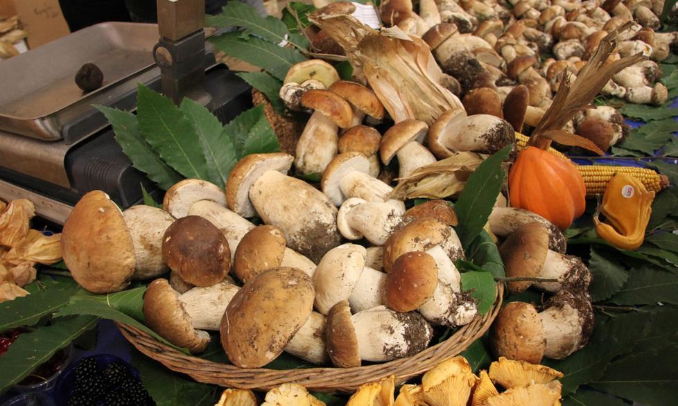 Fiera del fungo, due giorni di festa a Zeri