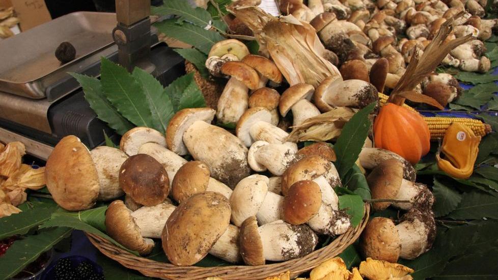 Fiera del fungo, due giorni di festa a Zeri