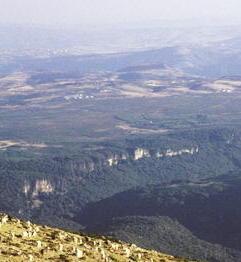 Nasce l’Area vasta per salvare le funzioni dell’ex Provincia 